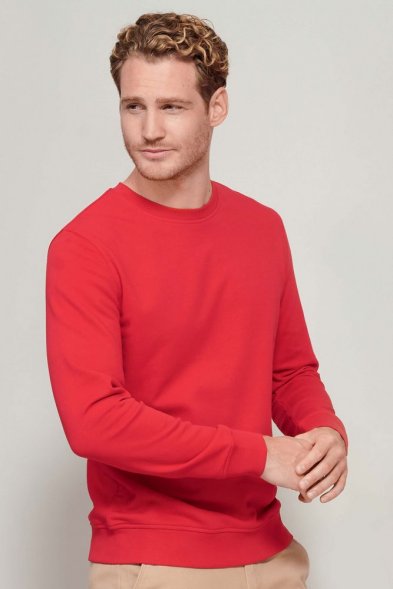 Свитшот унисекс Comet, серый меланж 