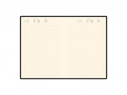 Ежедневник недатированный B5 Tintoretto New, бордовый