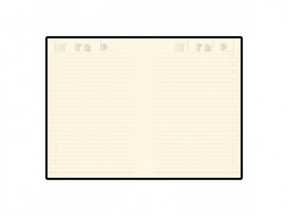 Ежедневник недатированный B5 Tintoretto New, бордовый 