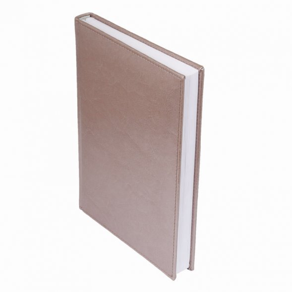 Ежедневник Birmingham недатированный без календаря, пепельный металлик (с лого AvD) 