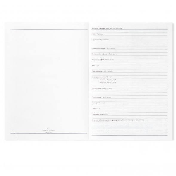 Ежедневник Birmingham недатированный без календаря, пепельный металлик (с лого AvD) 