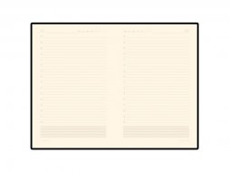 Ежедневник А5 недатированный Zenith, черный