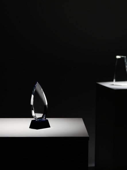 Награда Droplet 