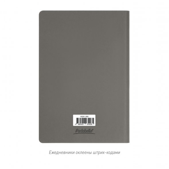 Ежедневник Star недатированный, серый (с упаковкой, со стикерами) 