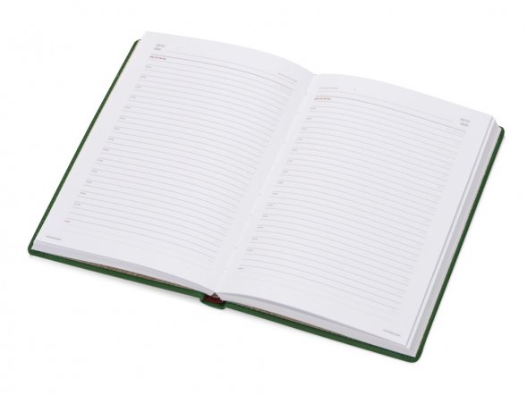 Ежедневник недатированный А5 Velvet, зеленый 