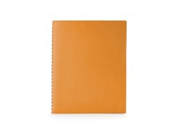 Ежедневник недатированный B5 Tintoretto New, оранжевый
