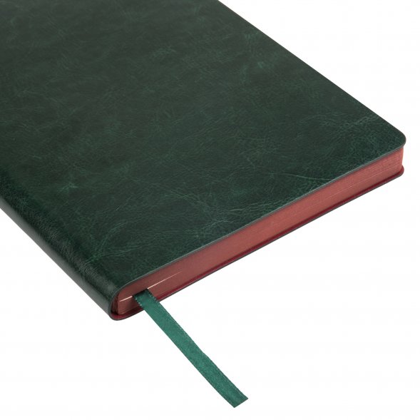 Ежедневник River side недатированный, зеленый/бургунди 