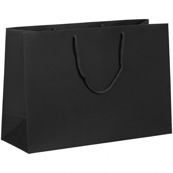 Пакет бумажный Ample Plus M, черный 