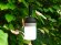 Портативный беспроводной Bluetooth динамик Lantern со встроенным светильником 