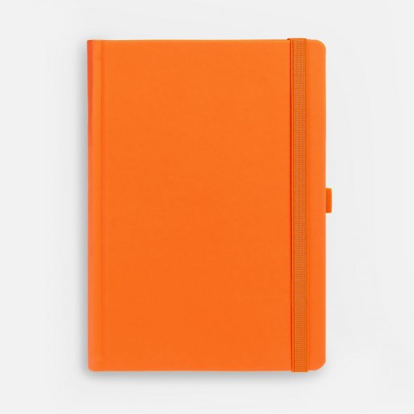 Ежедневник Favor, недатированный, оранжевый 