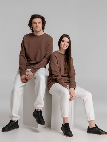 Свитшот унисекс BNC Inspire (Organic), коричневый (мокко) 