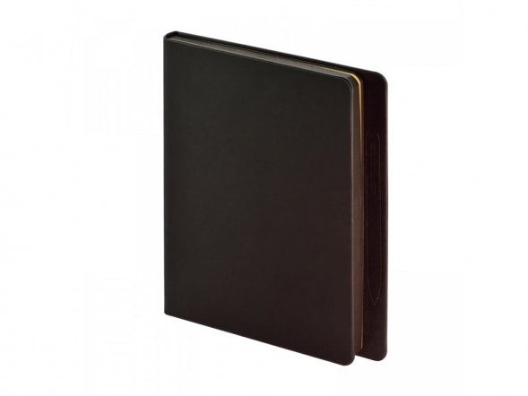 Ежедневник недатированный А5 Megapolis Magnet, черный 