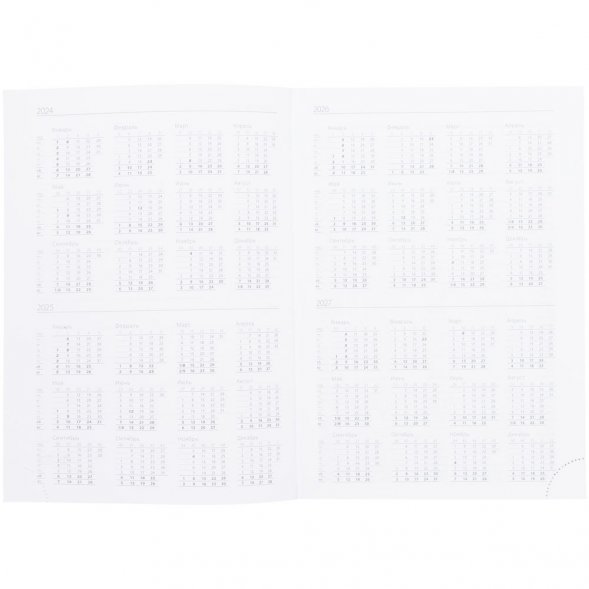 Ежедневник Favor, недатированный, фиолетовый 