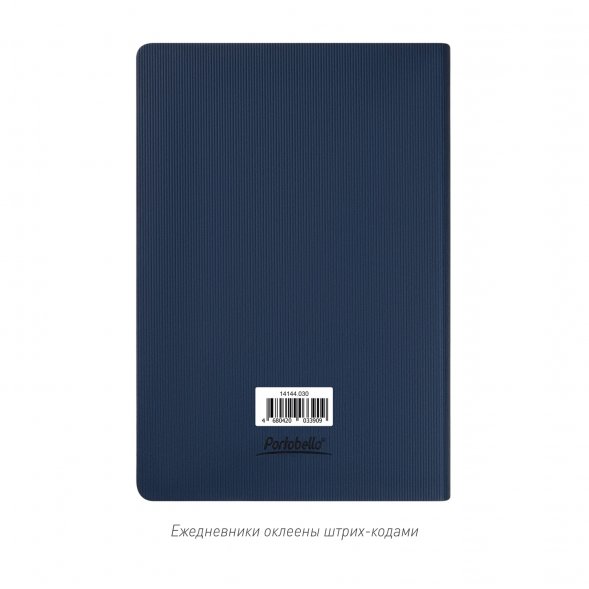 Ежедневник Rain недатированный, синий 